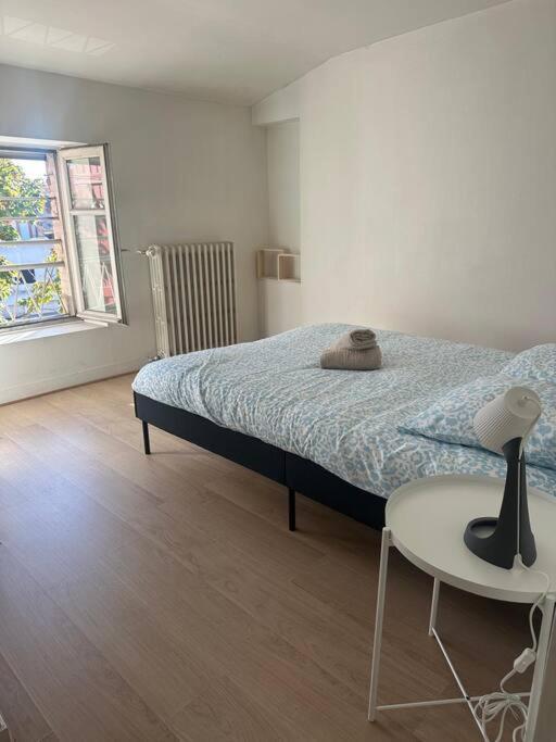 Le Leon Cladel T3 Proche Parking Gratuit Apartment Montauban Ngoại thất bức ảnh